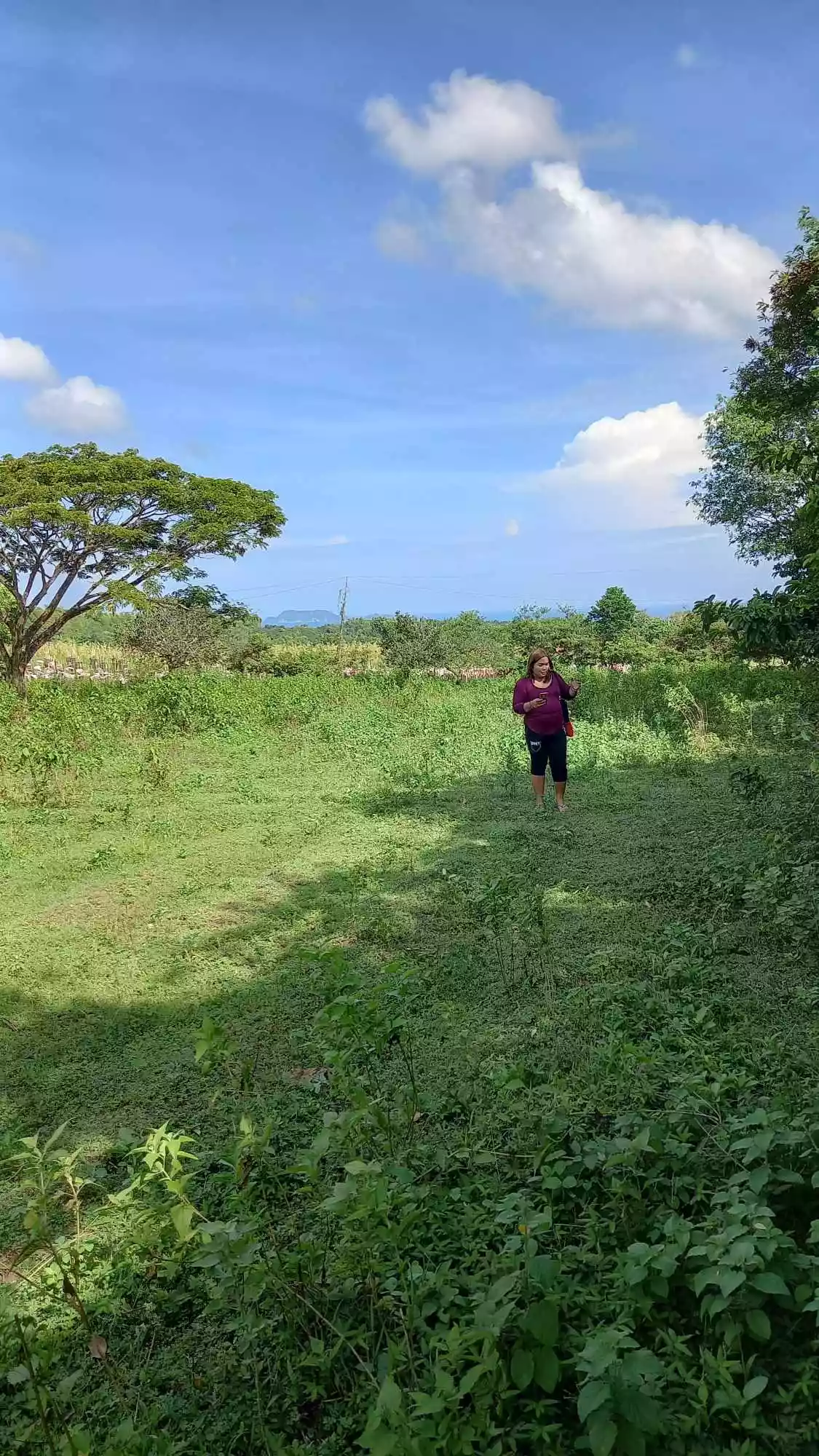 LOT FOR SALE — Agricultural Lot in Zamboanguita, Negros Oriental, Philippines — Photo 2