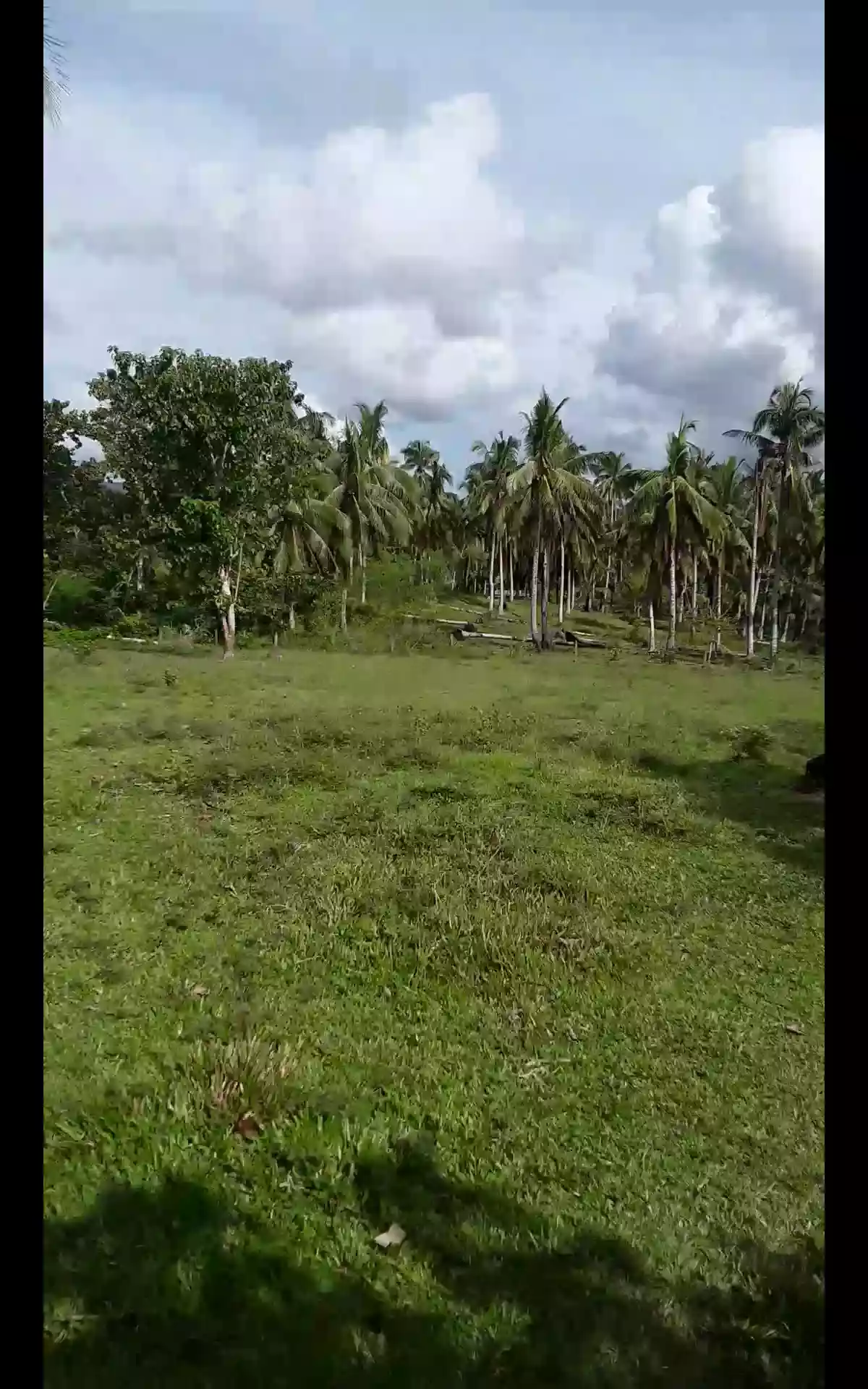 Lot  for sale - photo 3