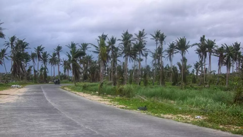 FLAT LANDS FOR SALE IN GENERAL LUNA,SIARGAO