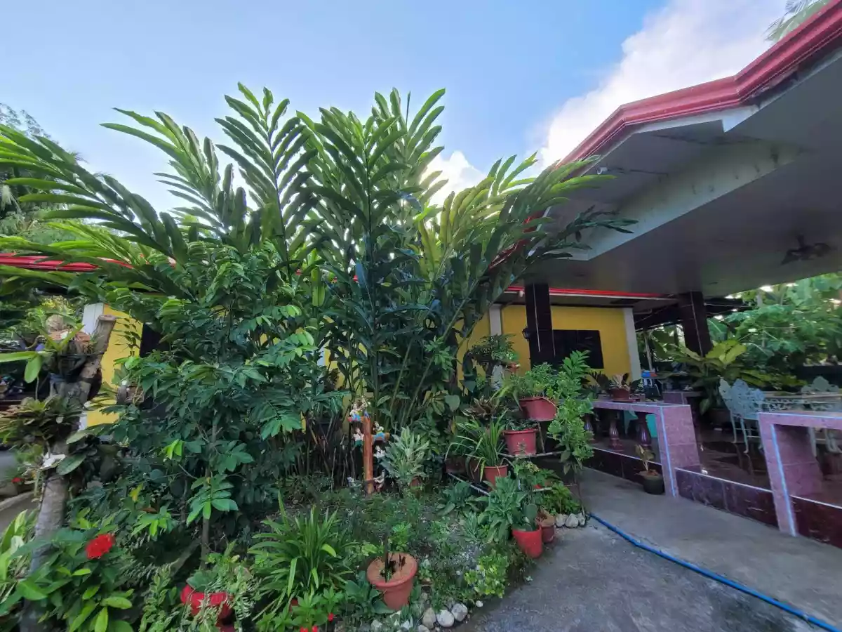 HOUSE AND LOT FOR SALE IN BAWO, SOGOD, CEBU - photo 6