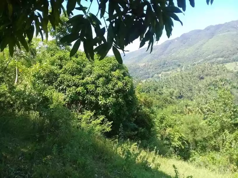 2 hectares agricultural lot for sale
