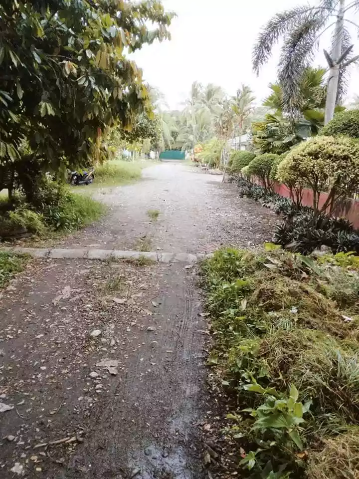 200sqm. lot in Alviola Village Butuan City