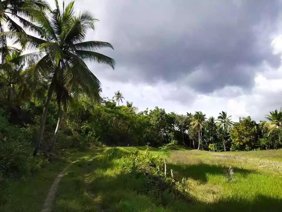 Lot for sale - photo 2