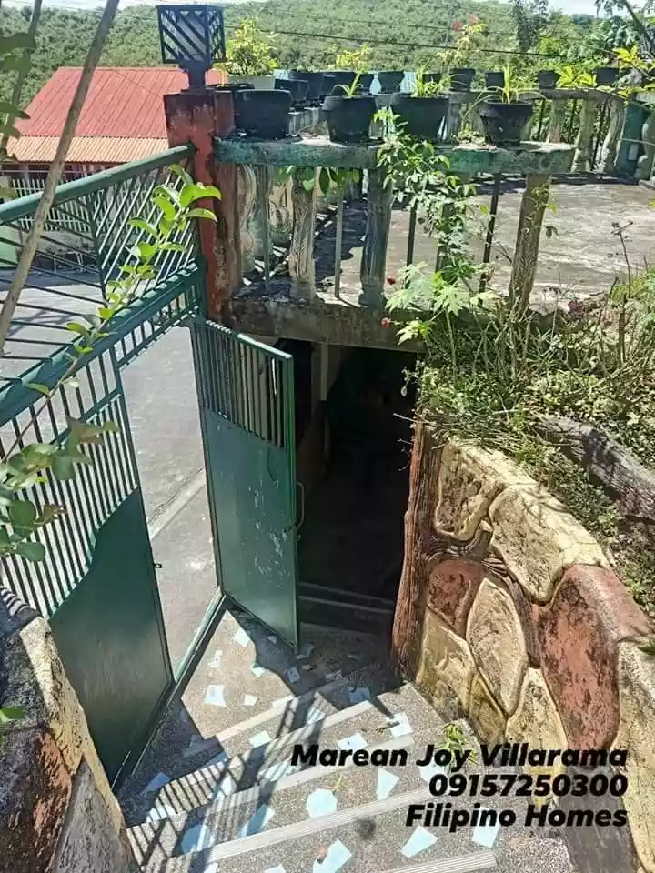 196SQM Home Property with Sari-sari Store — House and Lot in Danlag, Consolacion, Cebu — Photo 4