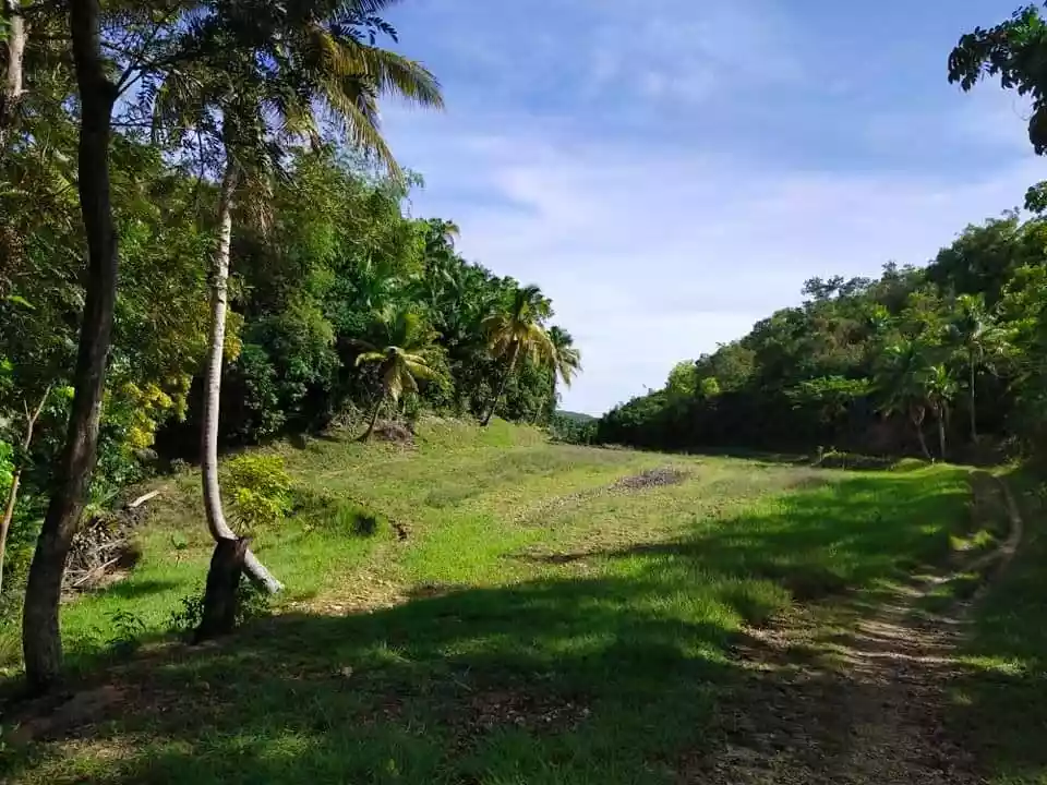 Lot for sale - photo 3