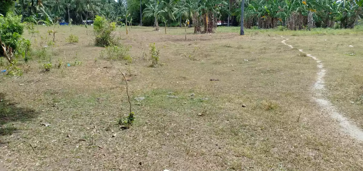 Lot for Sale in Dumaguete