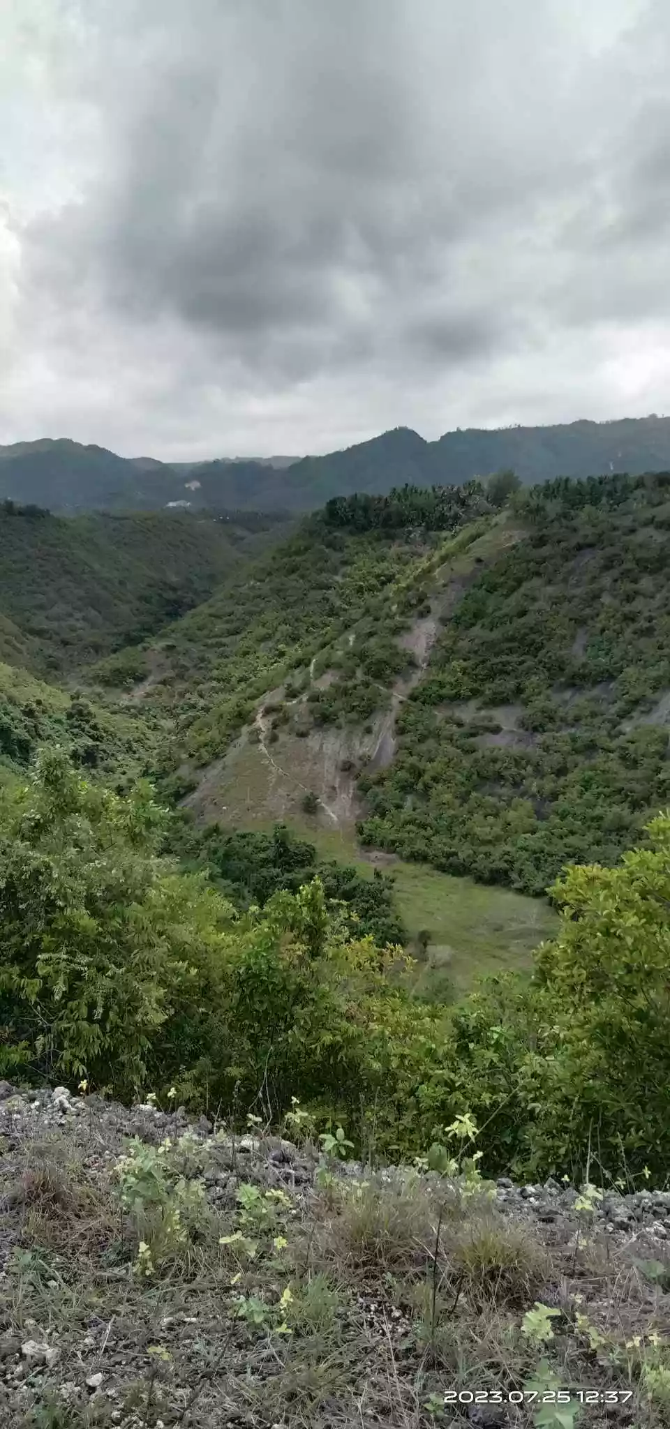 Banhigan Residential Lot — Residential Lot in Cebu, Philippines — Photo 4