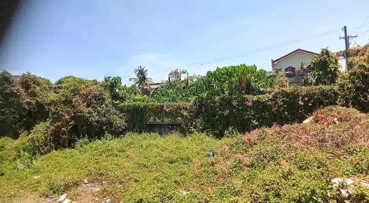 LOT FOR SALE — Residential Lot in Minglanilla, Cebu, Philippines — Photo 5