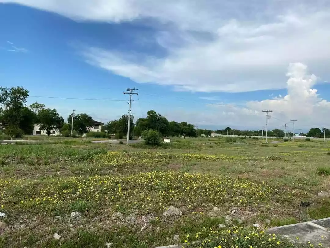 525 sq.m adjacent Lot (2 lots) available @Bloomfields - photo 4