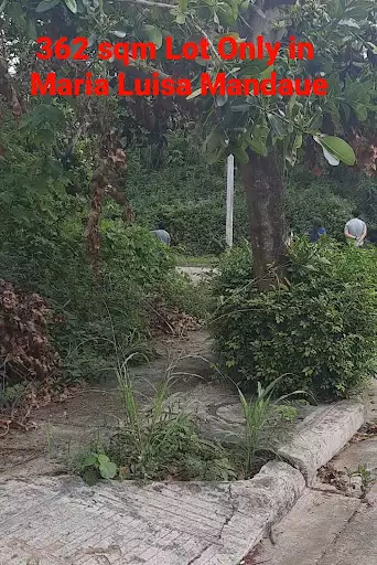 Corner Lot in Maria Luisa Mandaue