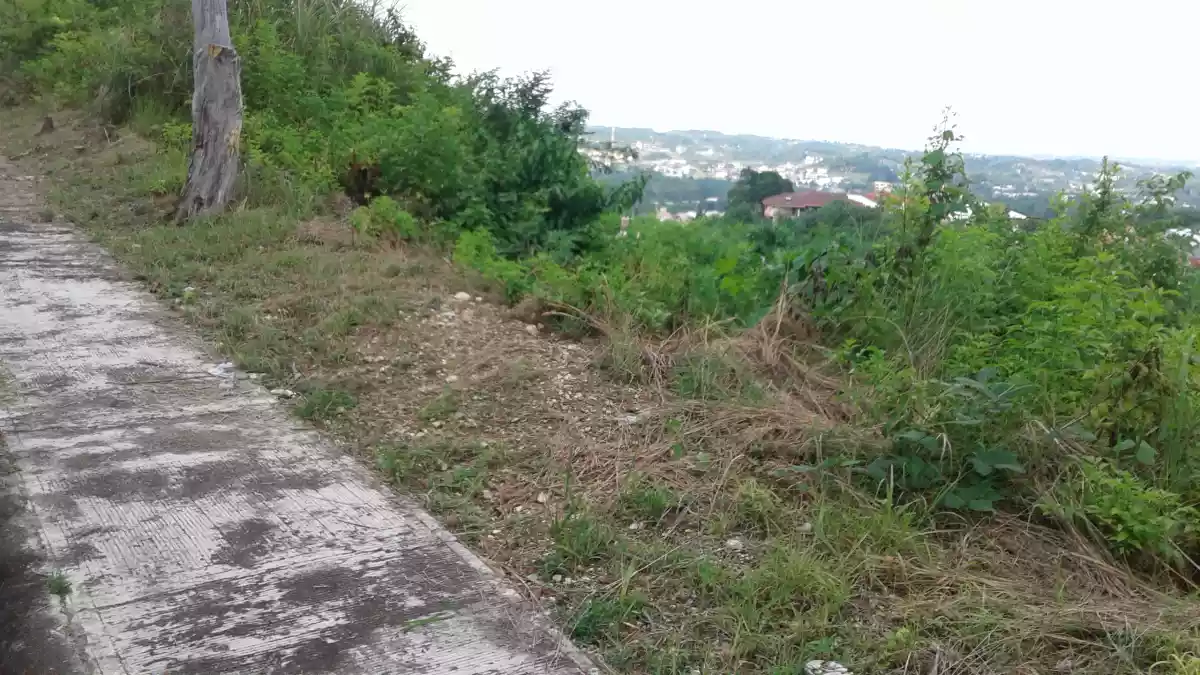Residential Lot for sale in Talamban cebu city - photo 2