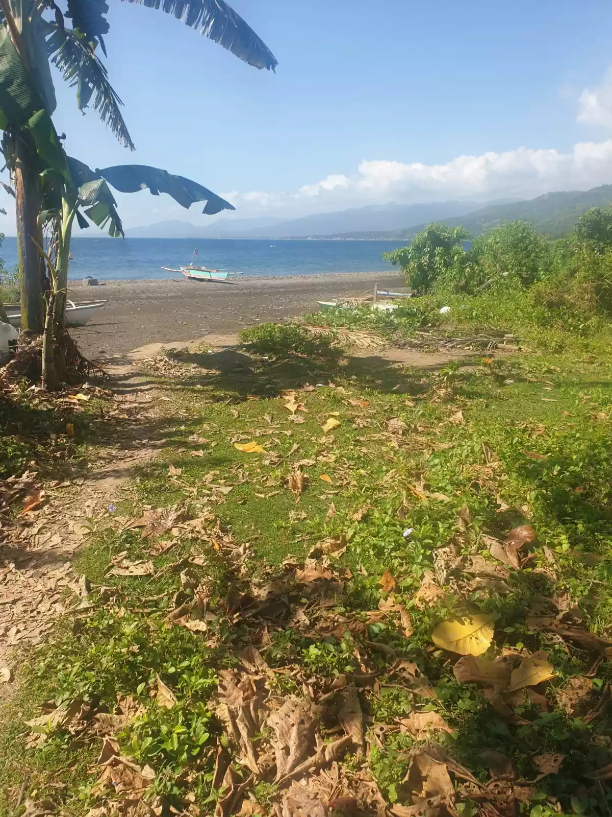 BEACH LOT FOR SALE — Agricultural Lot in Negros Oriental, Philippines — Photo 4