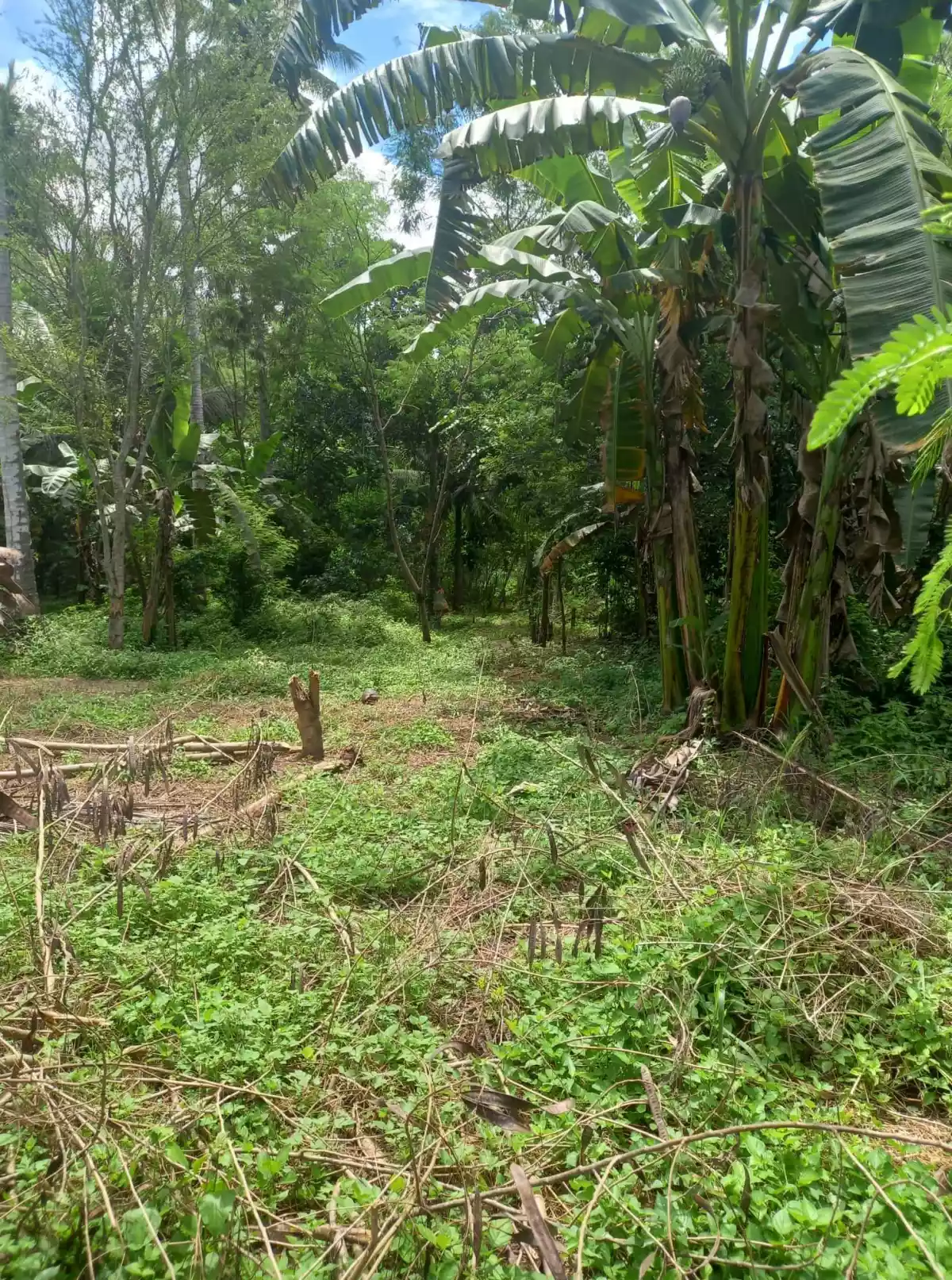 147sqm Lot Only near UST Campus Gensan. — Residential Lot in Pan-Philippine Highway, General Santos City, South Cotabato — Photo 4
