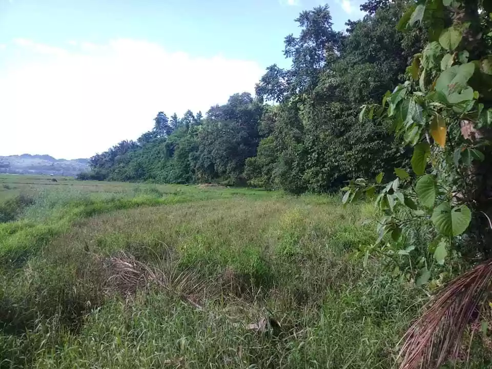 LOT FOR SALE in Sipalay city good for Residential and Inland Resort