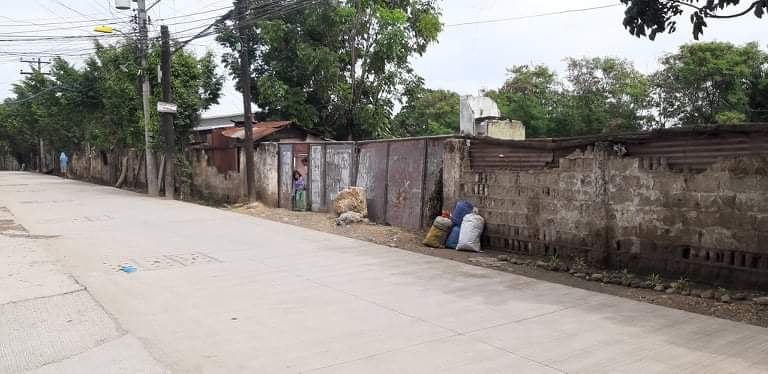 Industrial Lot For Sale in Basak Mandaue City - photo 5