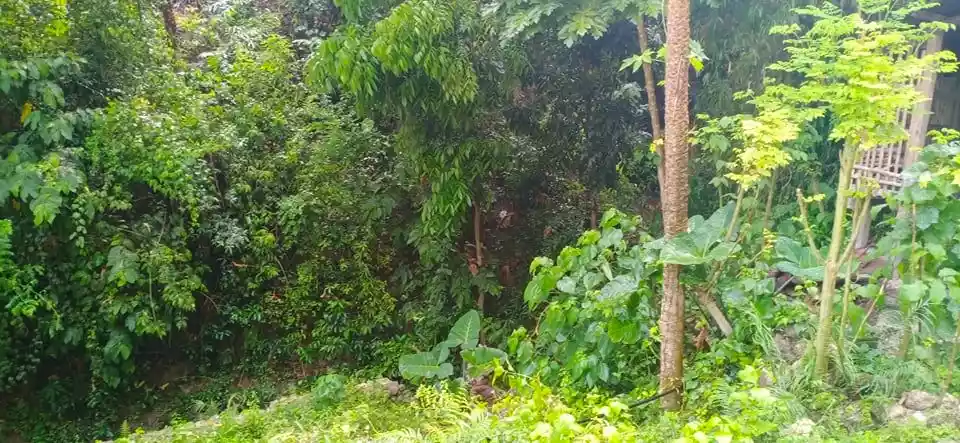 300sqm House and lot in Naga  Cebu — House and Lot in Naga, Cebu, Philippines — Photo 4