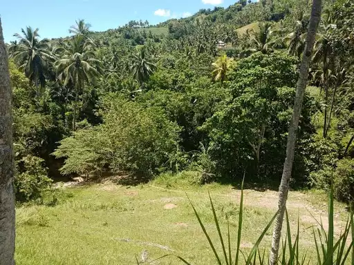 Open photo 20 of 27 — Very rush sale farm lot