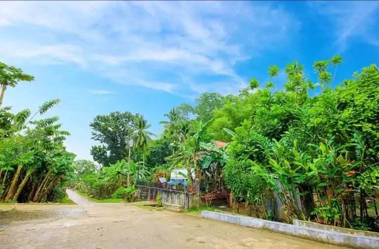 LOT FOR SALE IN JAGNA, BOHOL