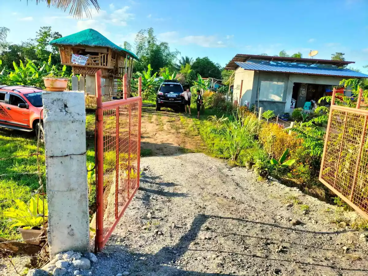 2,000Sq.m. Lot area, LOT FOR SALE!! - photo 4