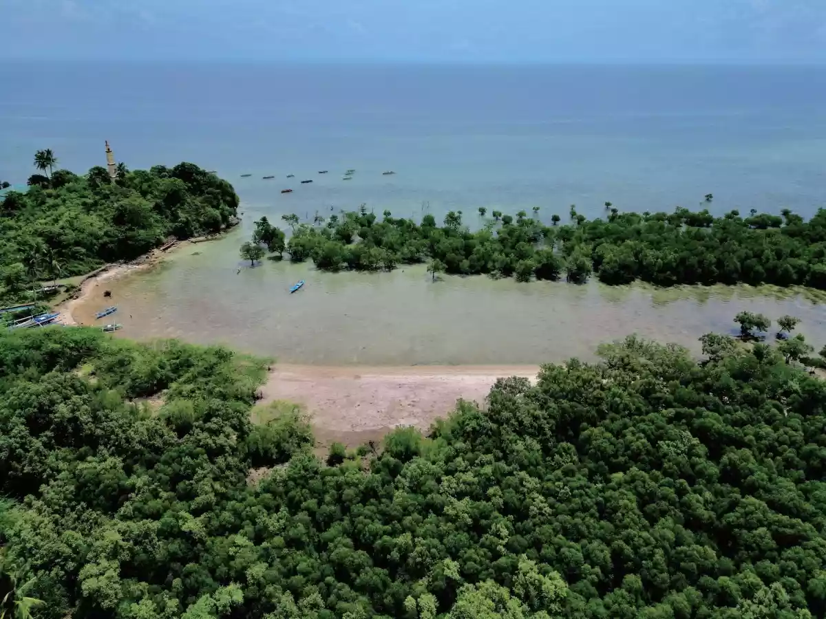 Farm and Beach lot for Sale in Quezon Province — Agricultural Lot in Quezon, Philippines — Photo 7