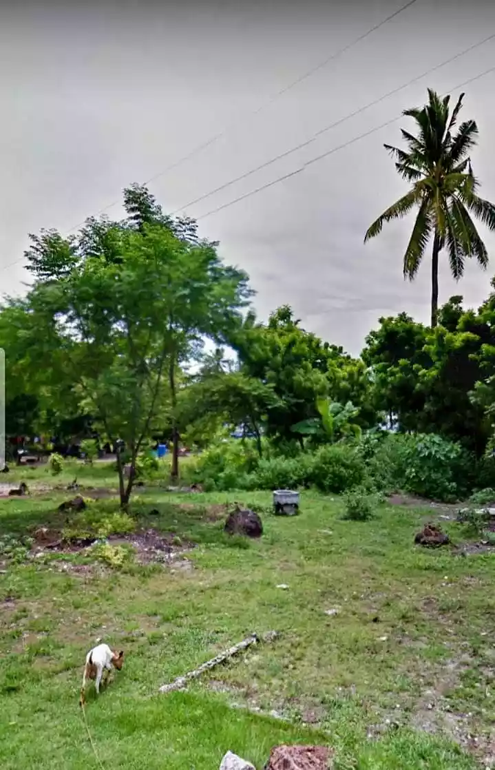 white sand beachlot - photo 4