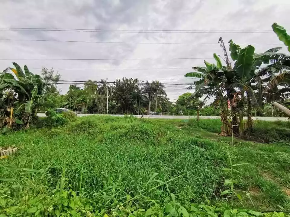 2 Hectares Property Along National Highway Lagao — Commercial Lot in Asian Highway 26, General Santos City, South Cotabato — Photo 4