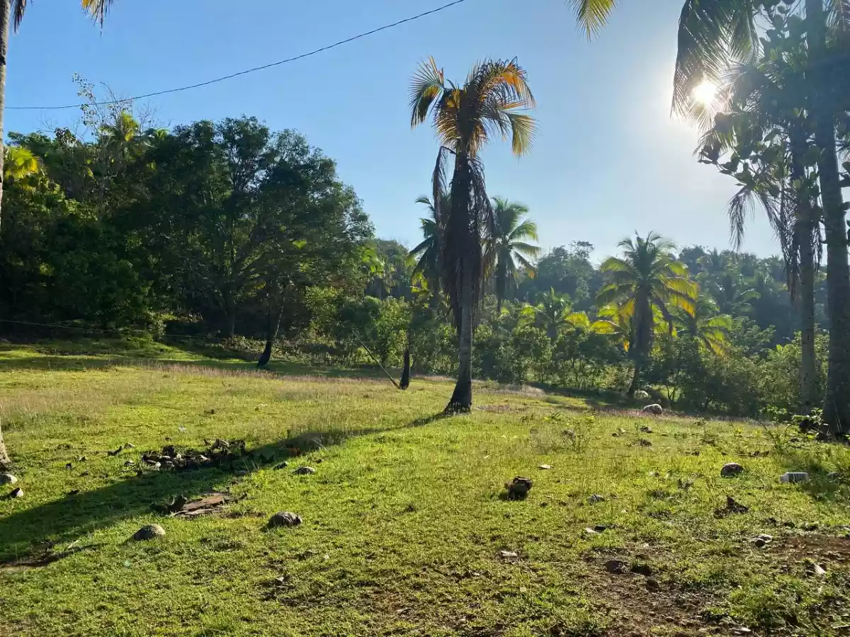 Open photo 23 of 27 — Over Looking LOT FOR SALE along Brgy Road Bayanga, Cagayan de Oro City