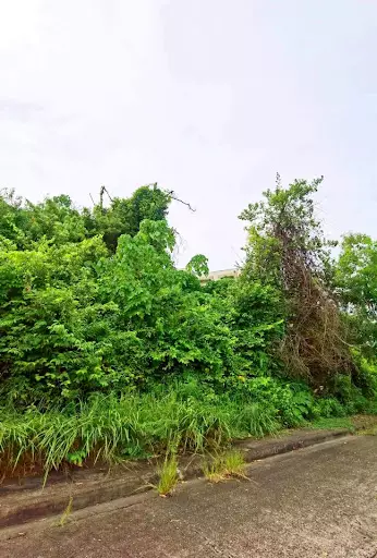 Open photo 22 of 22 — Vista Grande Subdivision Lot