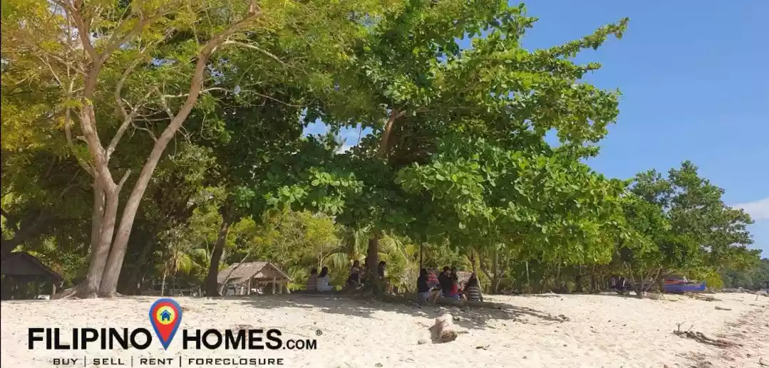 Open photo 12 of 25 — 3 Hectares Whitesand Beach Property 
