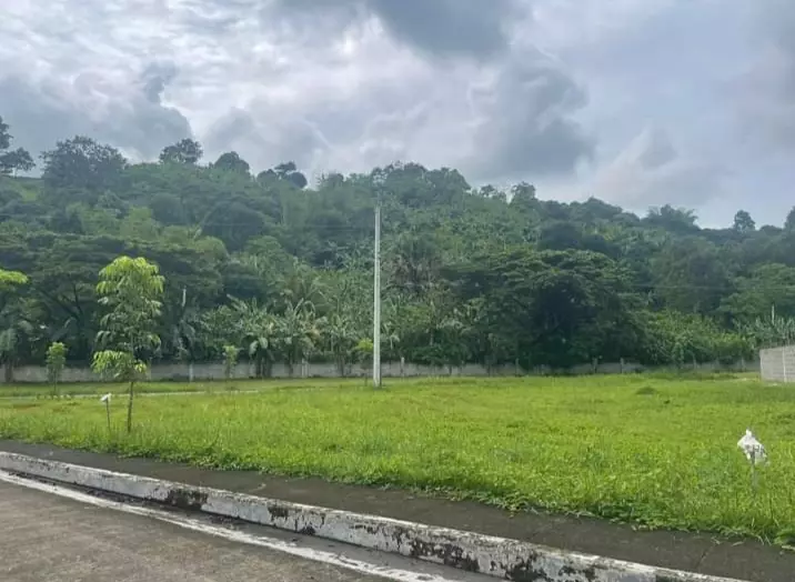 For Sale Lot only