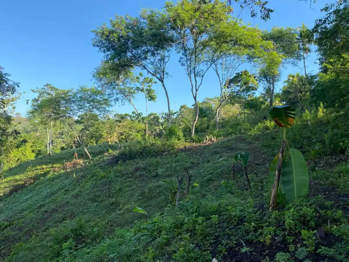Open photo 20 of 27 — Over Looking LOT FOR SALE along Brgy Road Bayanga, Cagayan de Oro City
