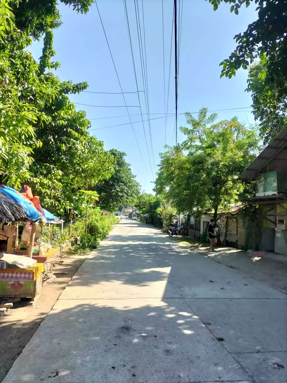 Batinguel Diversion Residential 6879sqm Lot For Sale — Residential Lot in Negros Oriental, Philippines — Photo 6