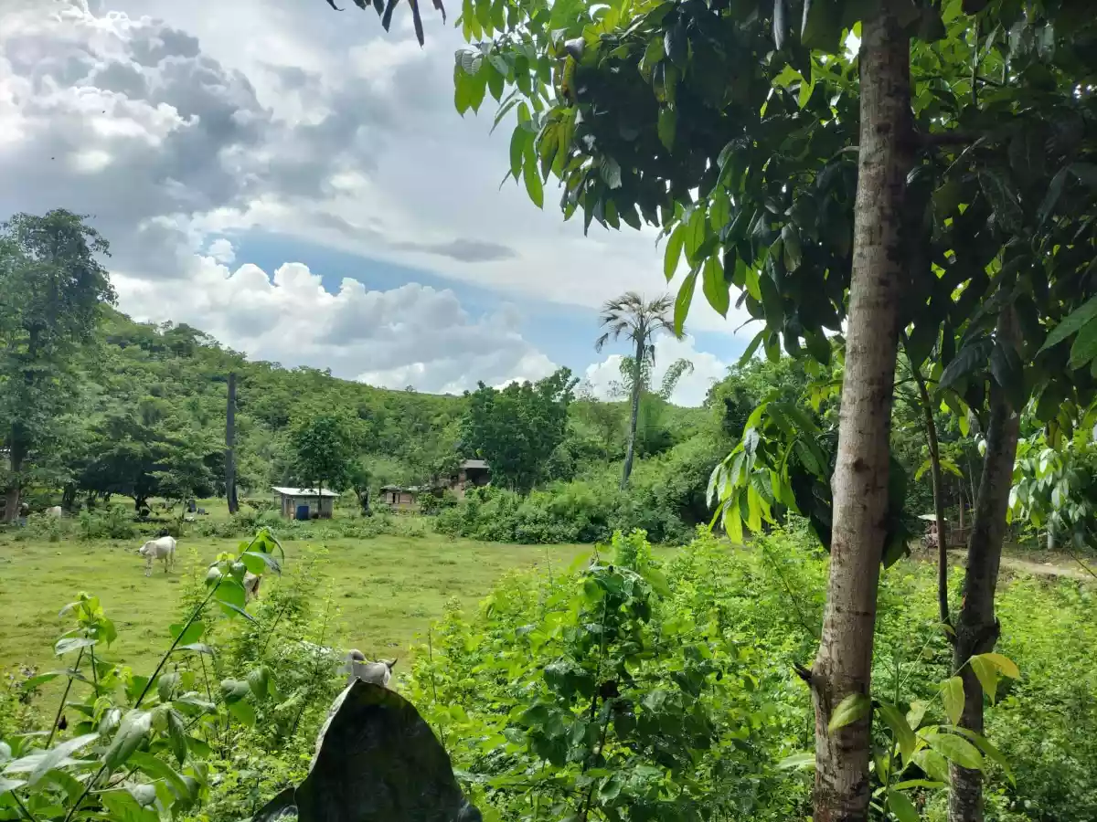 Affordable lot - photo 6