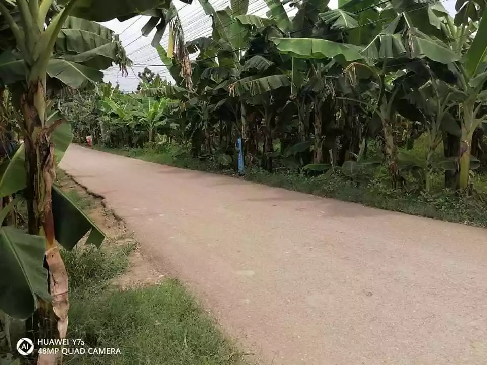 Lot for Sale - photo 4