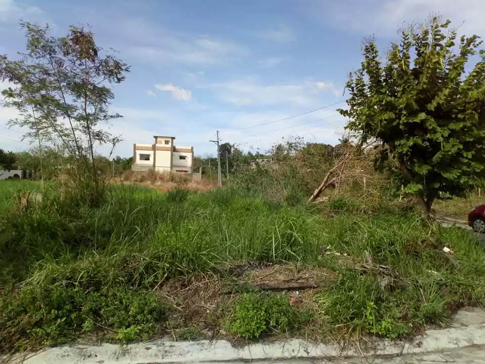 CARMELA DE BACOLOD SUBDIVISION - photo 4