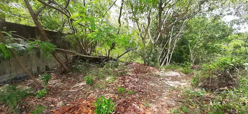 Open photo 16 of 16 — Overlooking City View in Maria Luisa Banilad lot only 