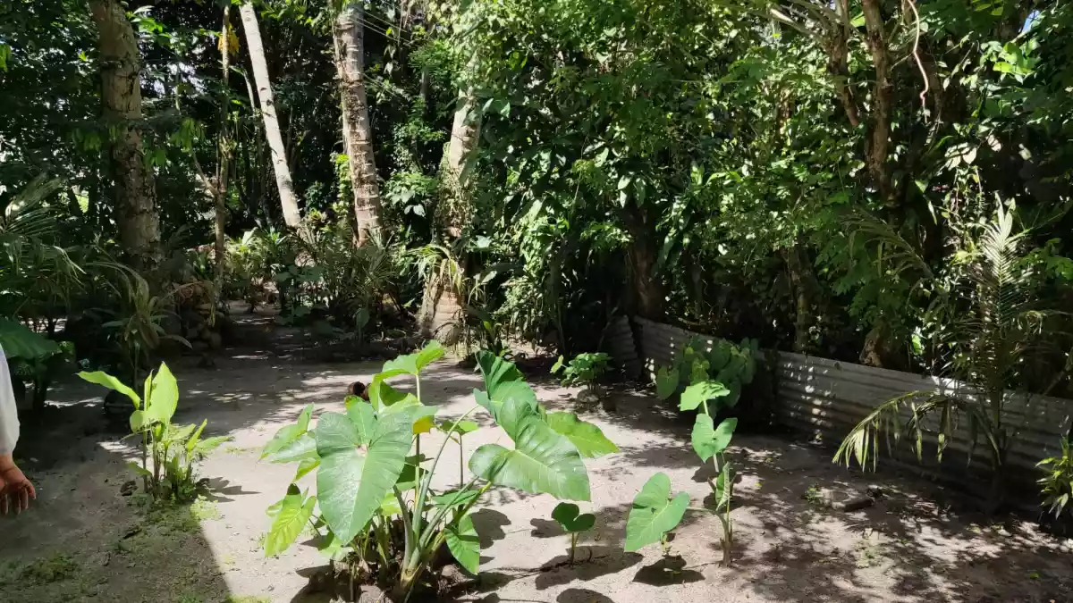 1,019 sqm residential lot with 2 house for Sale — House and Lot in South Cotabato, Philippines — Photo 3