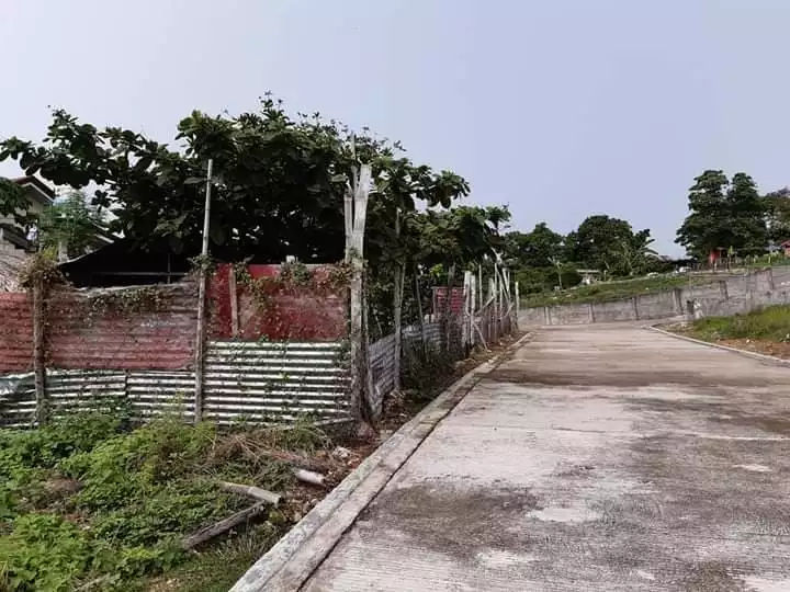 Residential Lot inside subdivision in La Vista Del Mar Liloan - photo 5