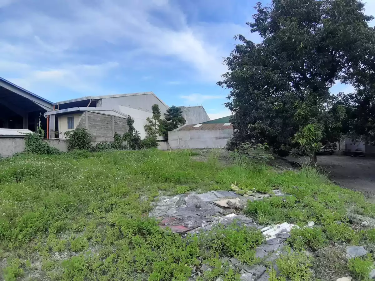 Lot for Sale near Canduman Market Mandaue City - photo 4