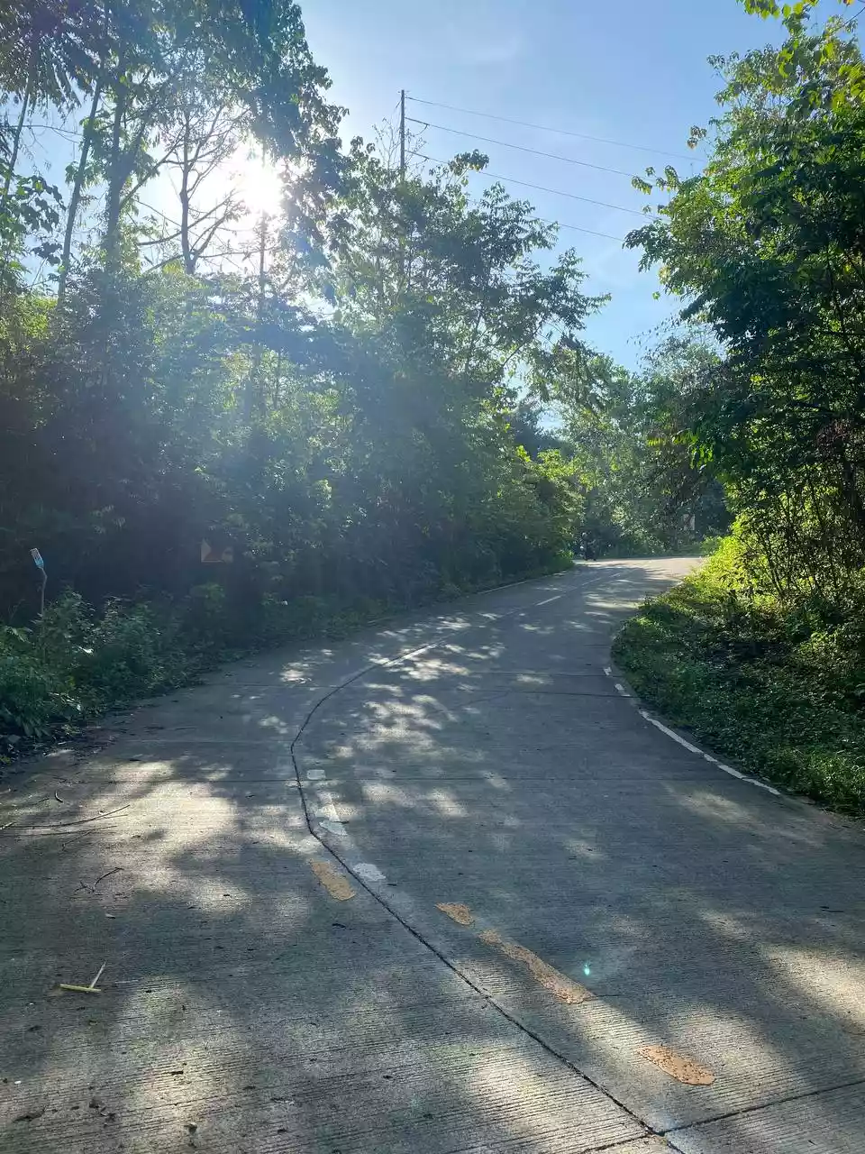 Over Looking LOT FOR SALE along Brgy Road Bayanga, Cagayan de Oro City — Agricultural Lot in Cagayan de Oro, Misamis Oriental, Philippines — Photo 6
