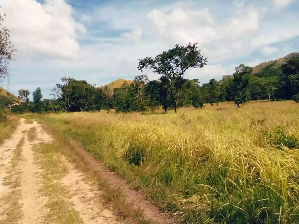 RESIDENTIAL LOTS FOR SALE IN CORON, PALAWAN — Residential Lot in Palawan, Philippines — Photo 5