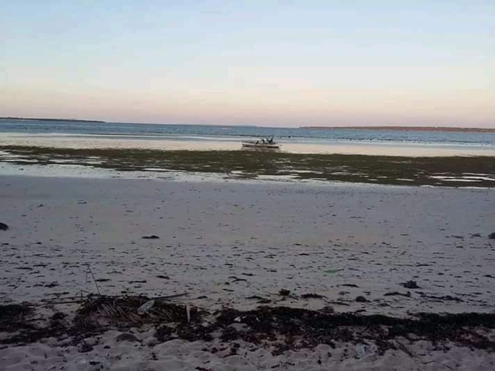 Tax declaration - photo 5