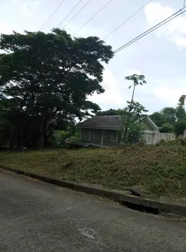 FOR SALE LOT ONLY IN talamaban Metropolis