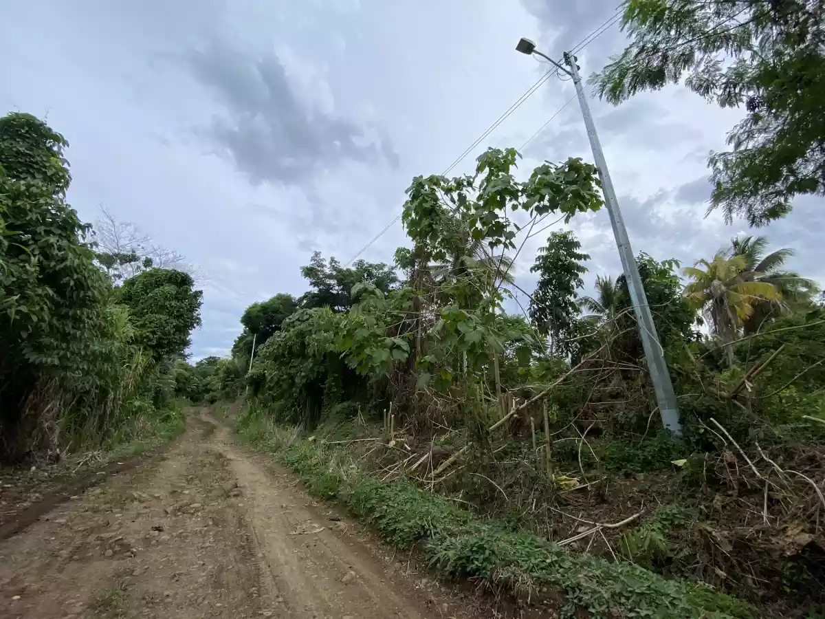 For Sale: Agri Lot in Tugbok, Davao City – Wide Frontage — Agricultural Lot in Tugbok (Pob.), Davao City, Davao del Sur — Photo 6