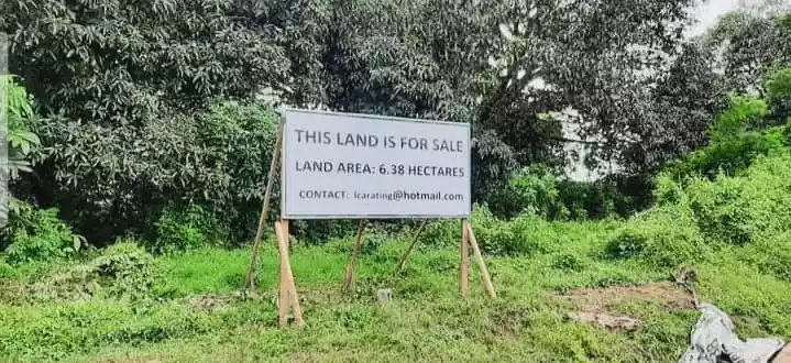 Agricultural Land For Sale in Dolo, Bansalan - photo 3