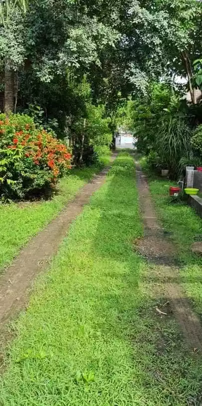 Lot For Sale in Banilad across BIR - photo 6