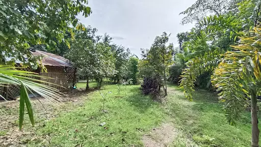 Lot For Sale Near Greensville 3 Bacolod City — Residential Lot in Bacolod, 6100 Negros Occidental, Philippines — Photo 5