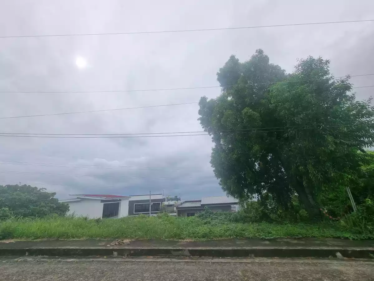 Rush Sale Lot in Pacific Heights Subd.. Talisay City - photo 3