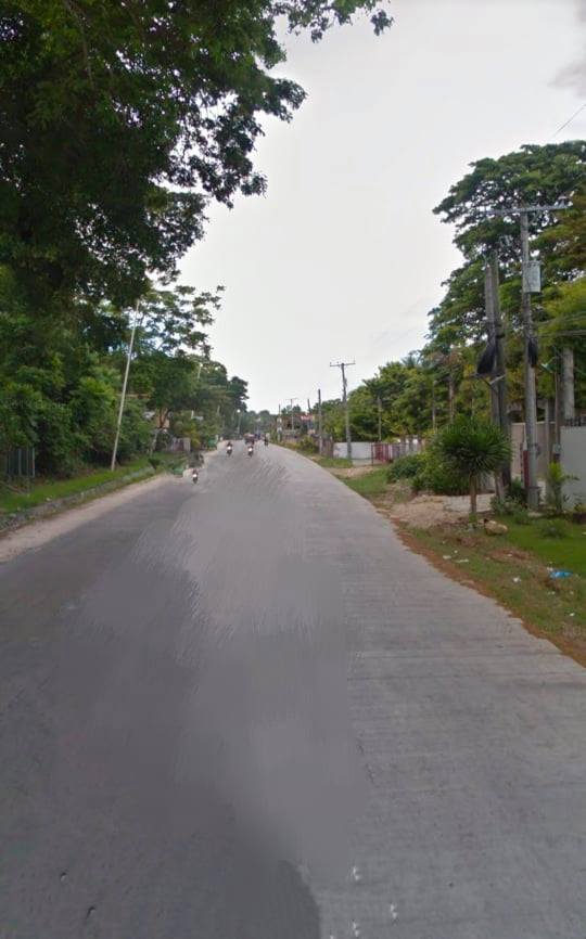 Commercial Lot for Sale in Tagbilaran City, along National Highway! - photo 4