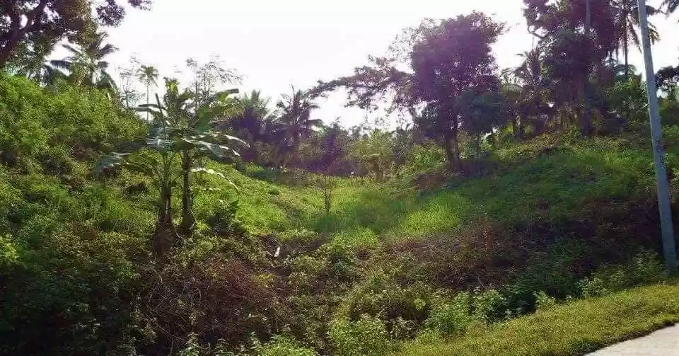 3,342 SQM LOT for SALE IN ILIGAN / ALONG BRGY. ROAD / BESIDE VILLA CASTENA SUBD - photo 6